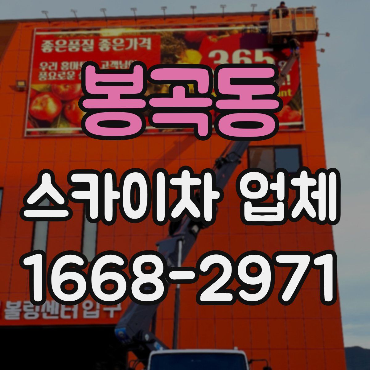 봉곡동 스카이차 업체