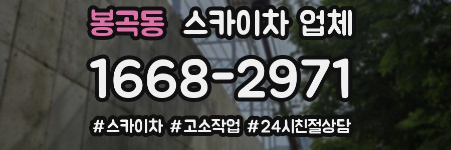 봉곡동 스카이차 업체