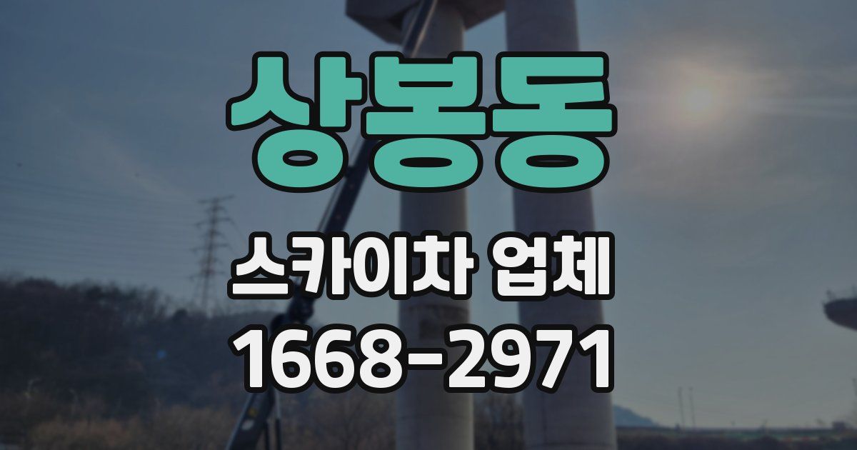 상봉동 스카이차 업체
