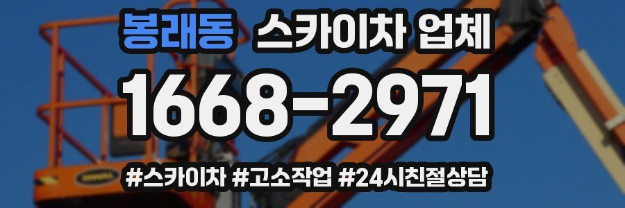 봉래동 스카이차 업체