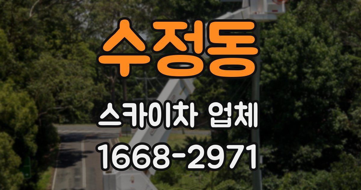 수정동 스카이차 업체