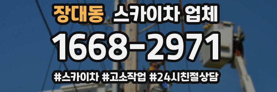 장대동 스카이차 업체