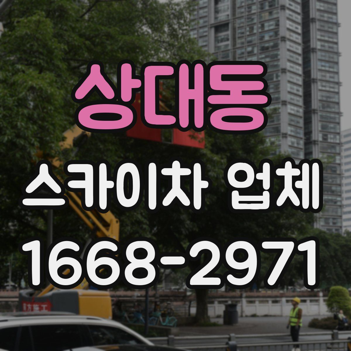 상대동 스카이차 업체
