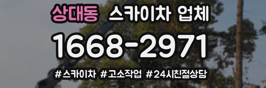 상대동 스카이차 업체