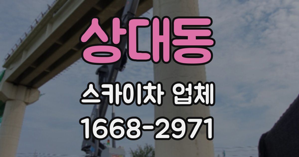 상대동 스카이차 업체