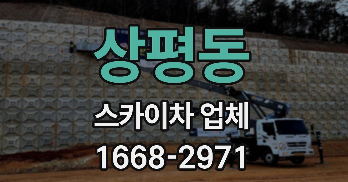 상평동 스카이차 업체