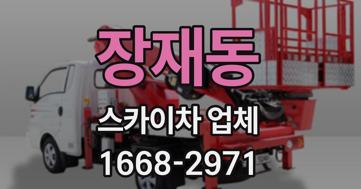 장재동 스카이차 업체