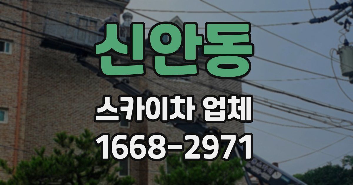 신안동 스카이차 업체