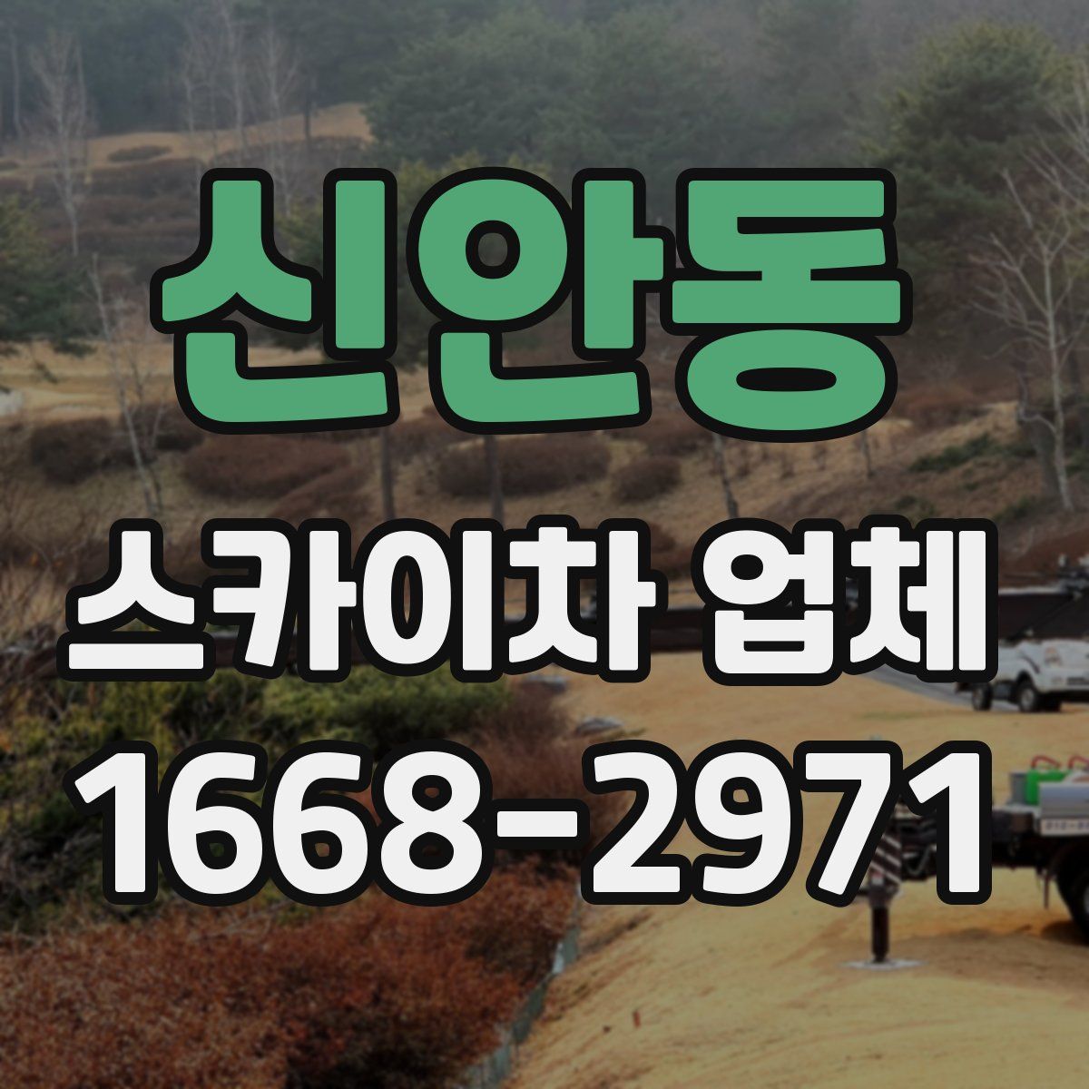신안동 스카이차 업체