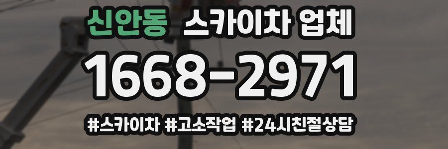 신안동 스카이차 업체