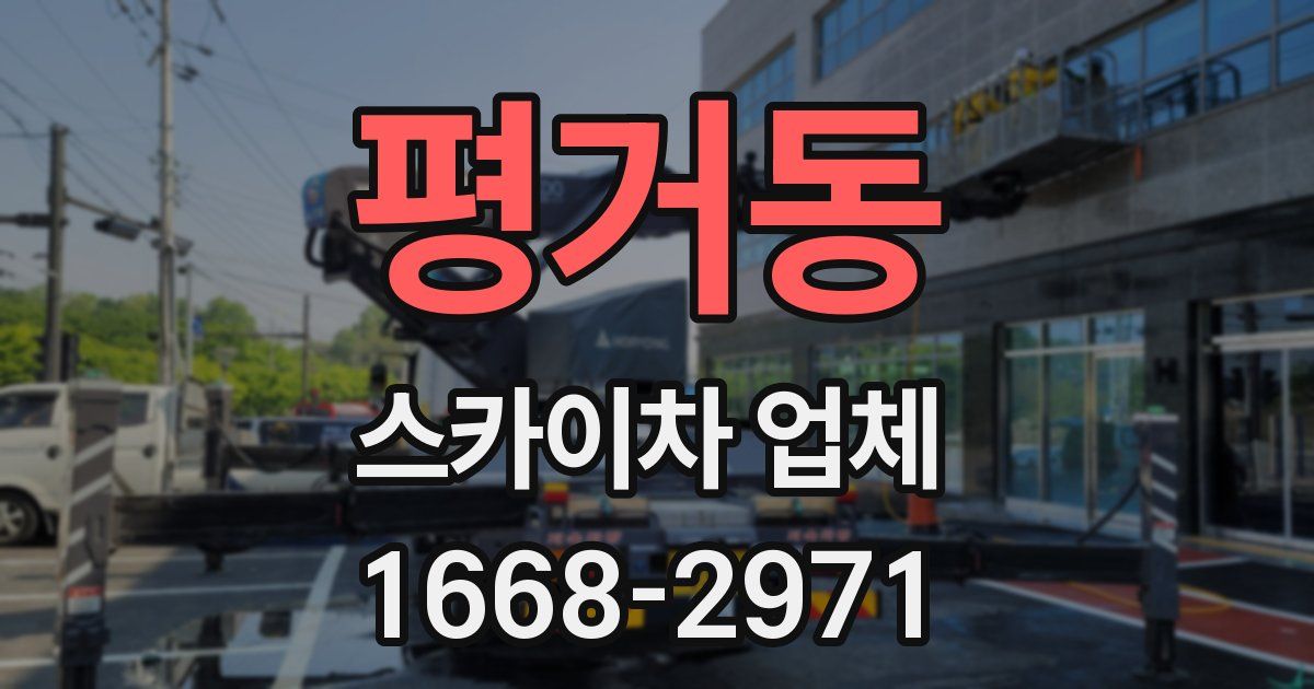 평거동 스카이차 업체