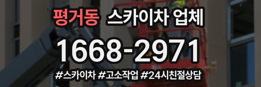 평거동 스카이차 업체
