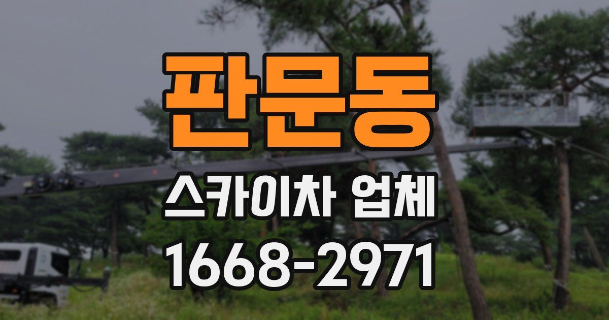 판문동 스카이차 업체