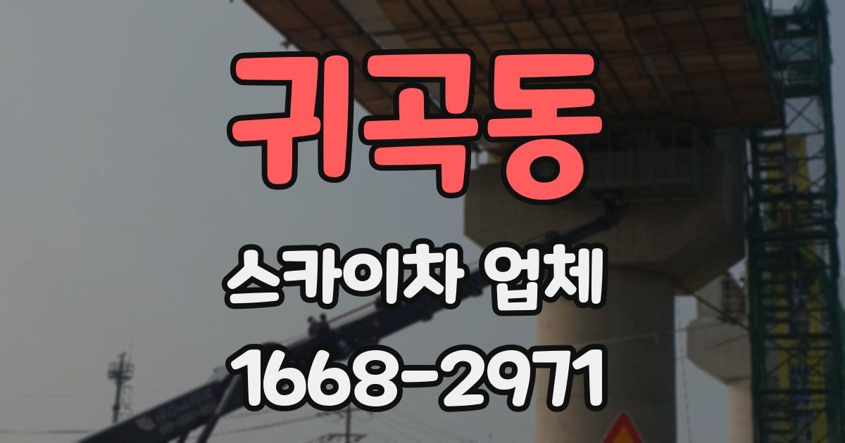 귀곡동 스카이차 업체