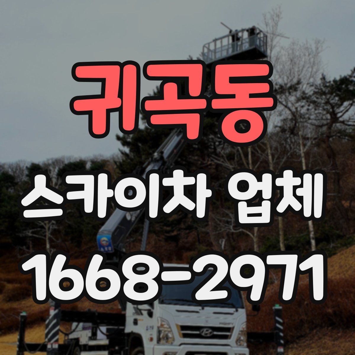 귀곡동 스카이차 업체