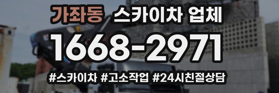 가좌동 스카이차 업체