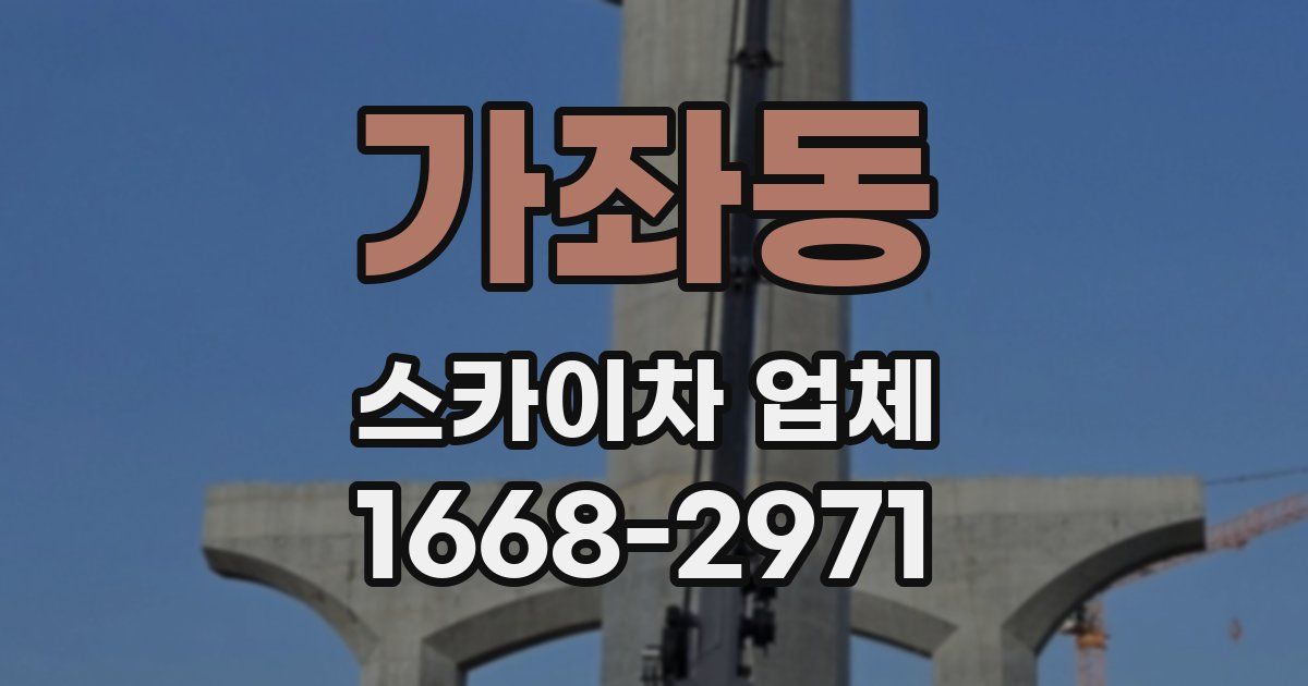 가좌동 스카이차 업체