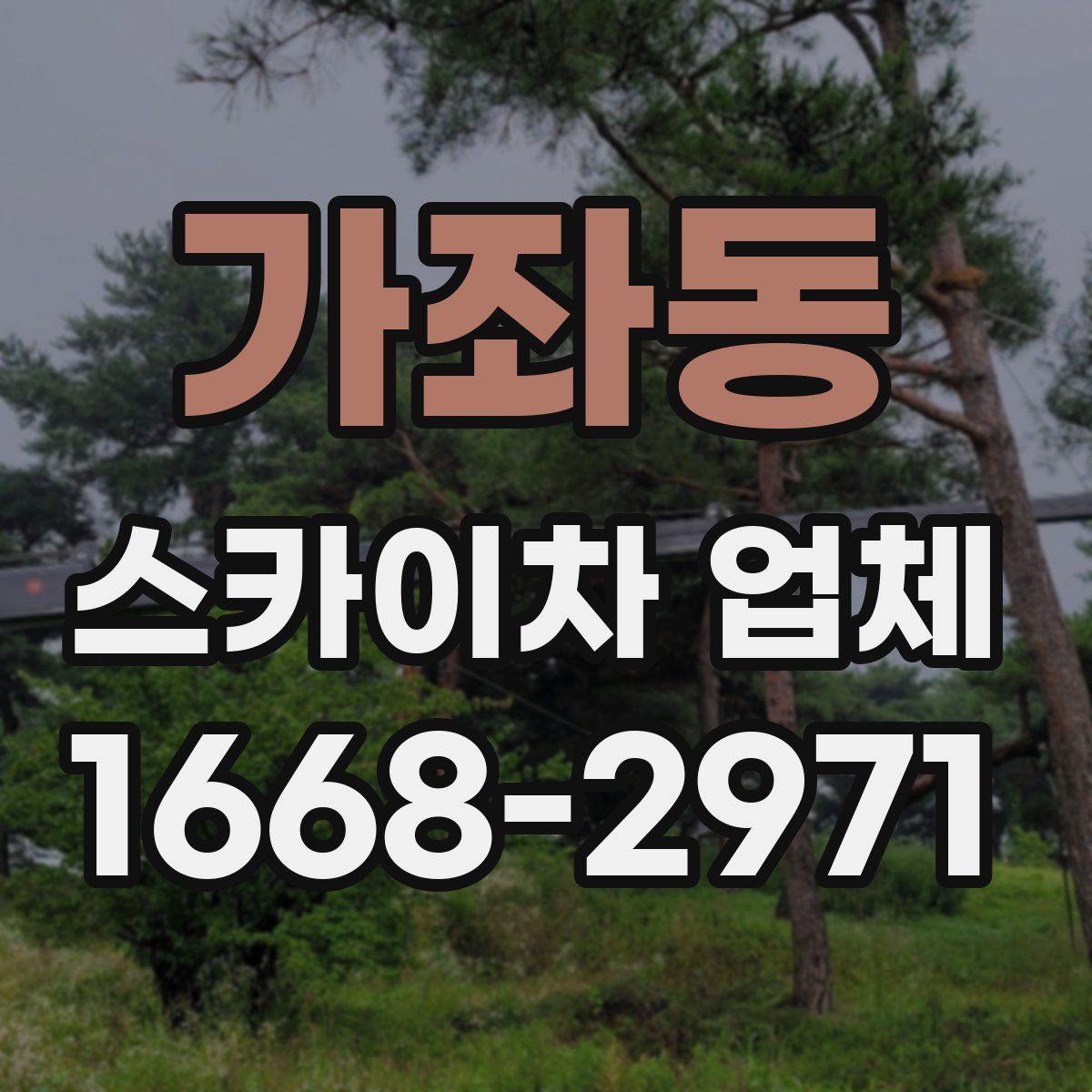 가좌동 스카이차 업체