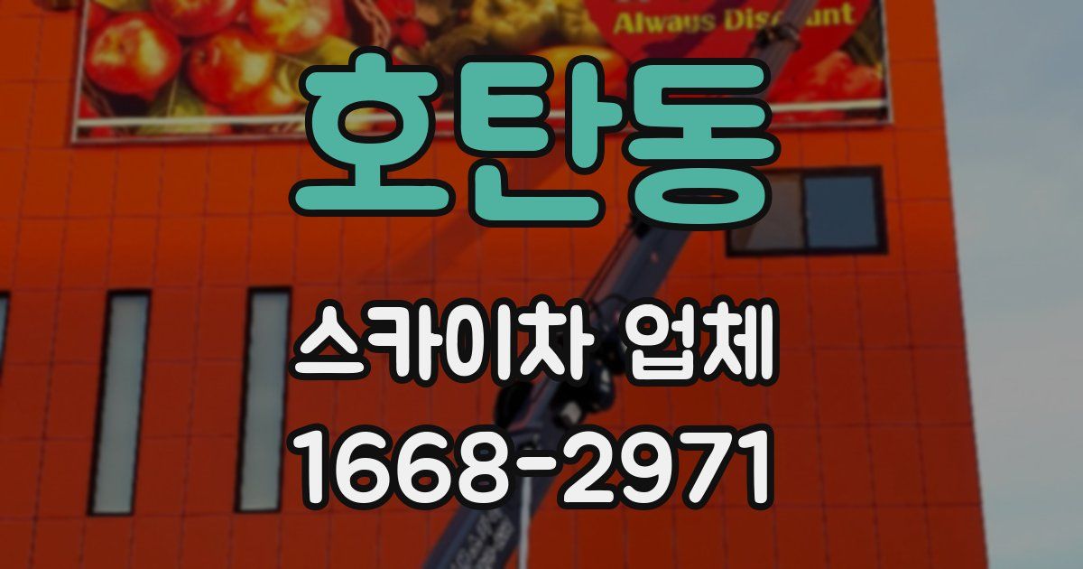 호탄동 스카이차 업체
