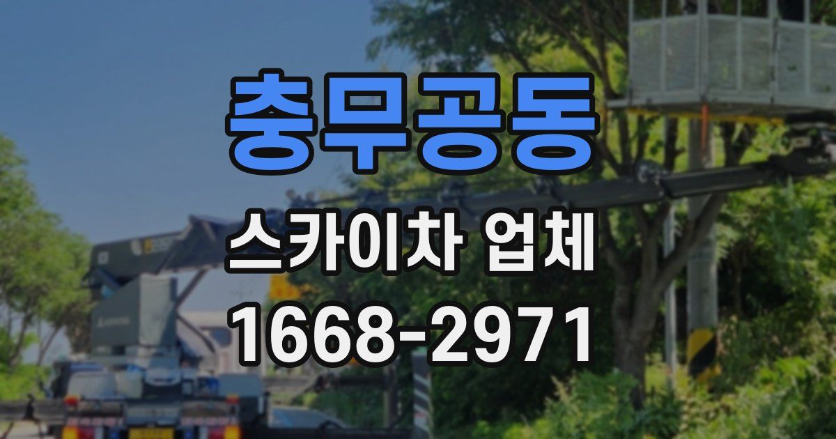충무공동 스카이차 업체