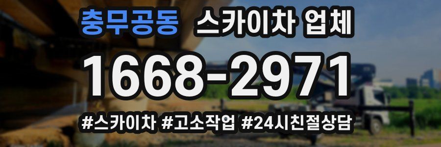 충무공동 스카이차 업체