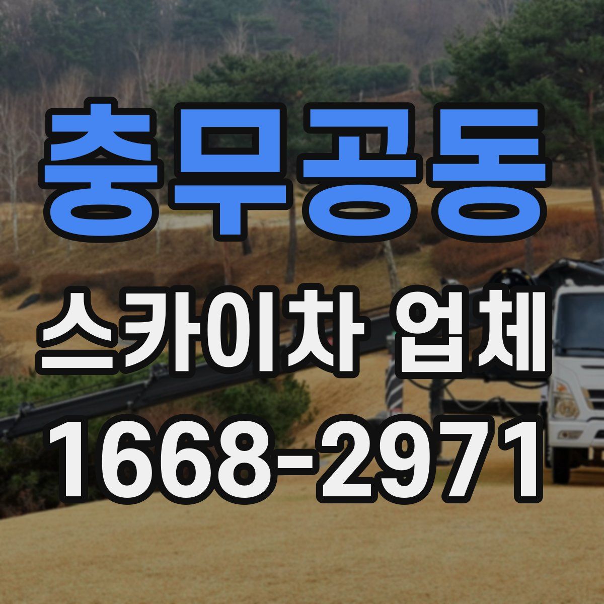 충무공동 스카이차 업체