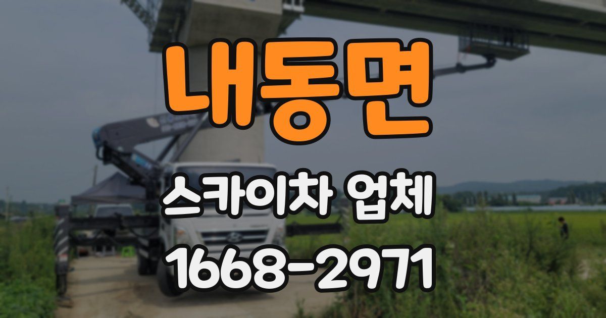 내동면 스카이차 업체