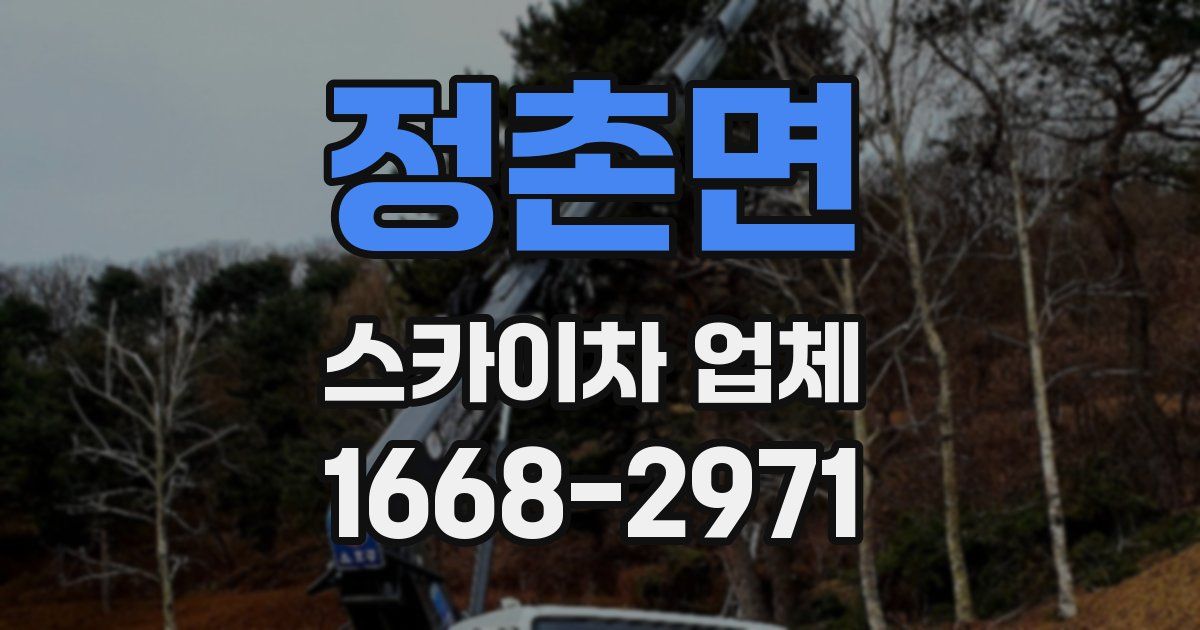 정촌면 스카이차 업체