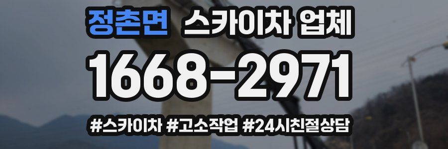정촌면 스카이차 업체