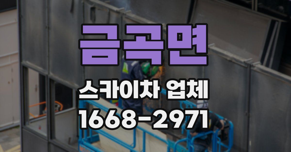금곡면 스카이차 업체
