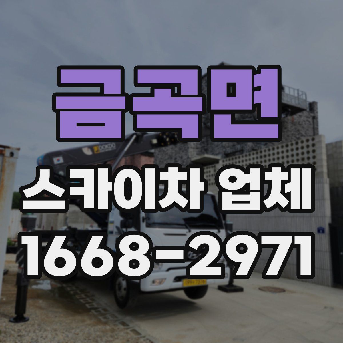 금곡면 스카이차 업체