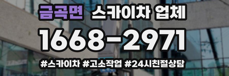 금곡면 스카이차 업체