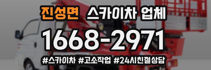 진성면 스카이차 업체
