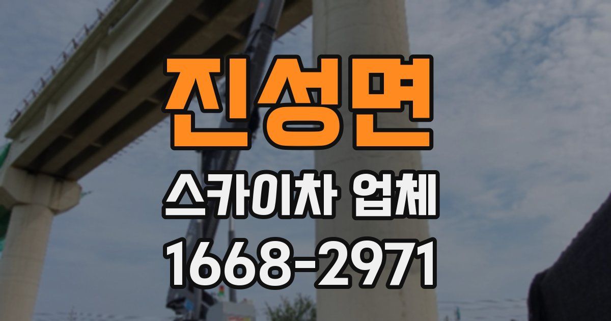 진성면 스카이차 업체