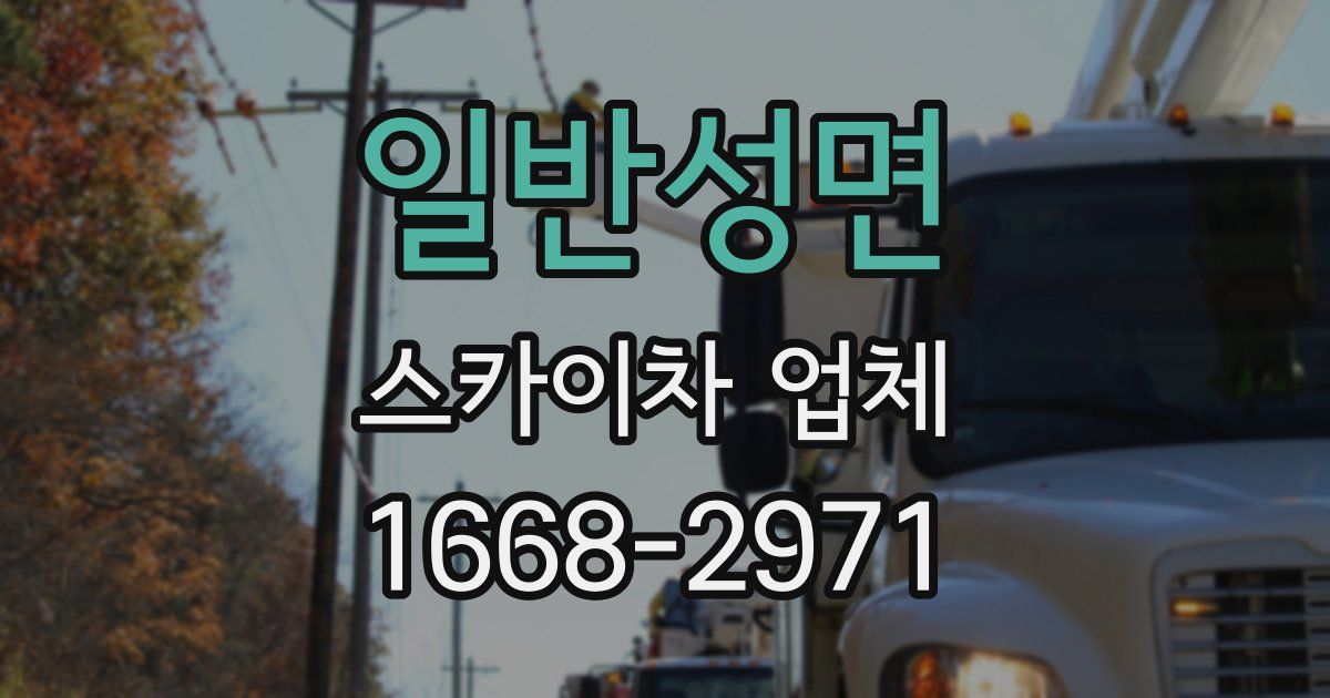 일반성면 스카이차 업체
