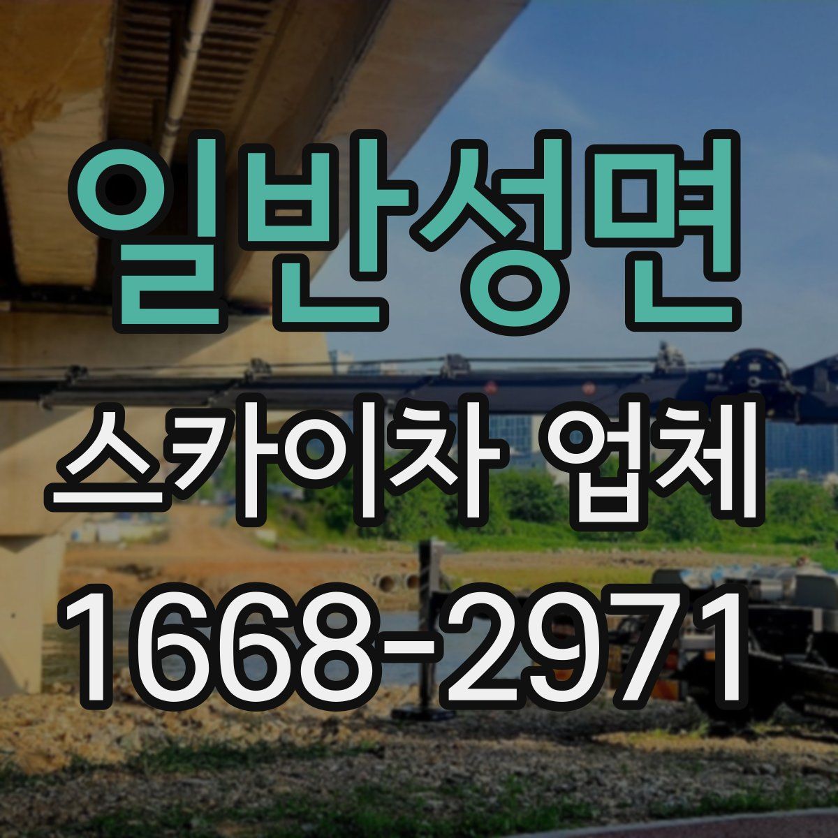 일반성면 스카이차 업체