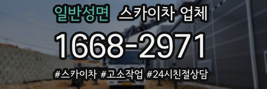 일반성면 스카이차 업체
