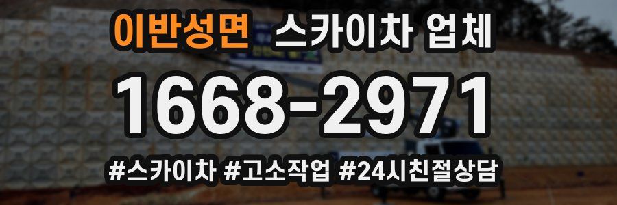 이반성면 스카이차 업체