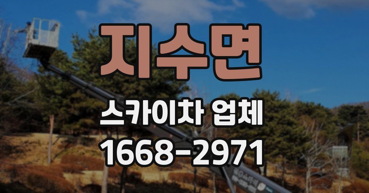 지수면 스카이차 업체