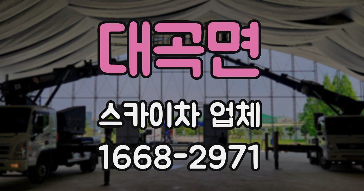 대곡면 스카이차 업체