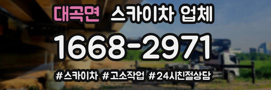 대곡면 스카이차 업체