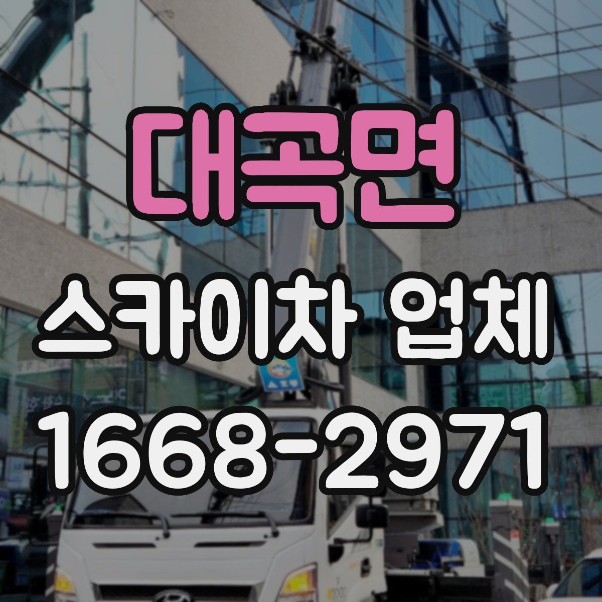 대곡면 스카이차 업체
