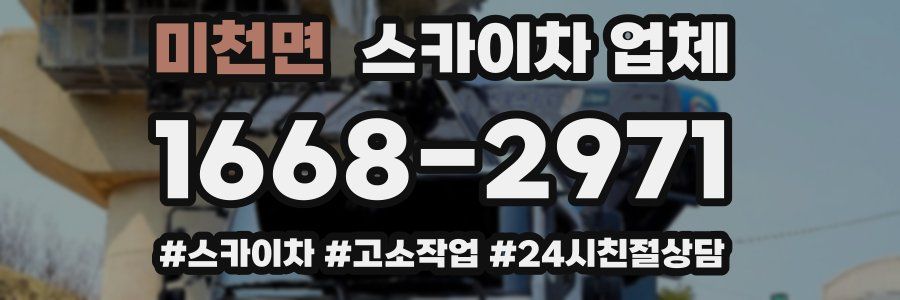 미천면 스카이차 업체