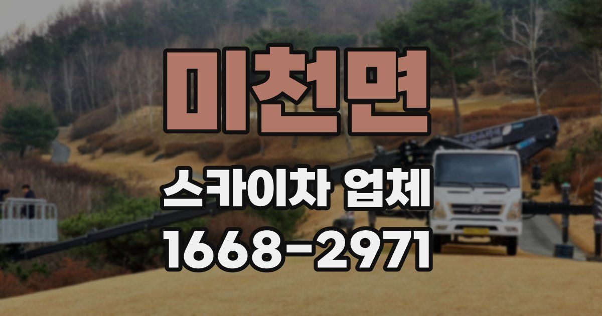 미천면 스카이차 업체