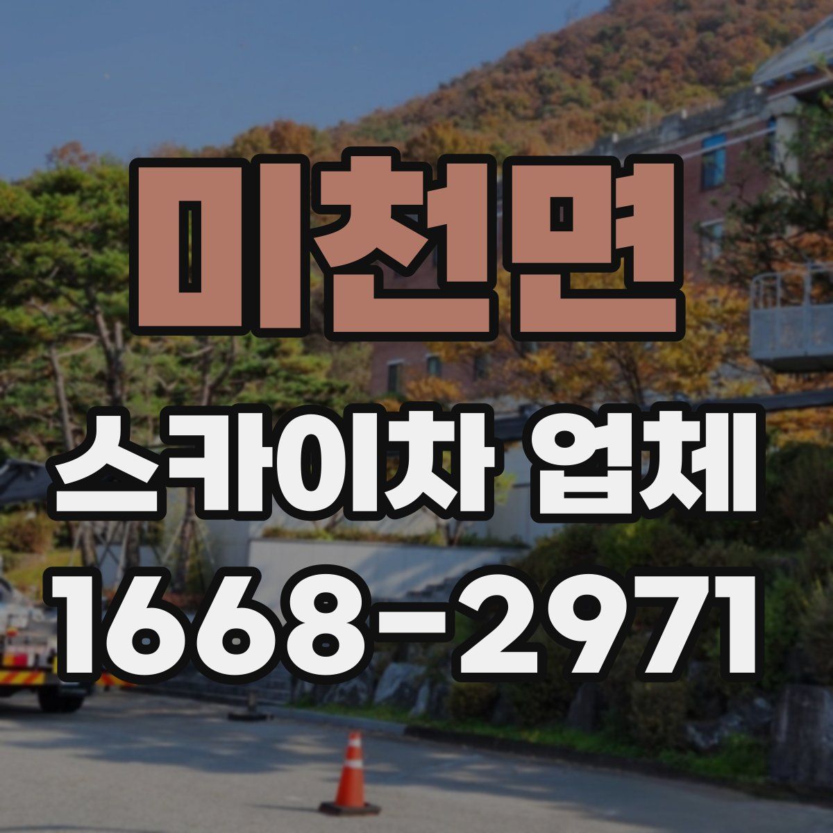 미천면 스카이차 업체