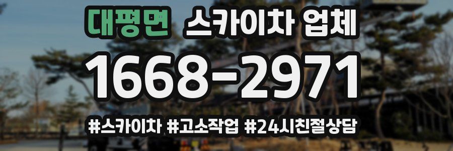 대평면 스카이차 업체