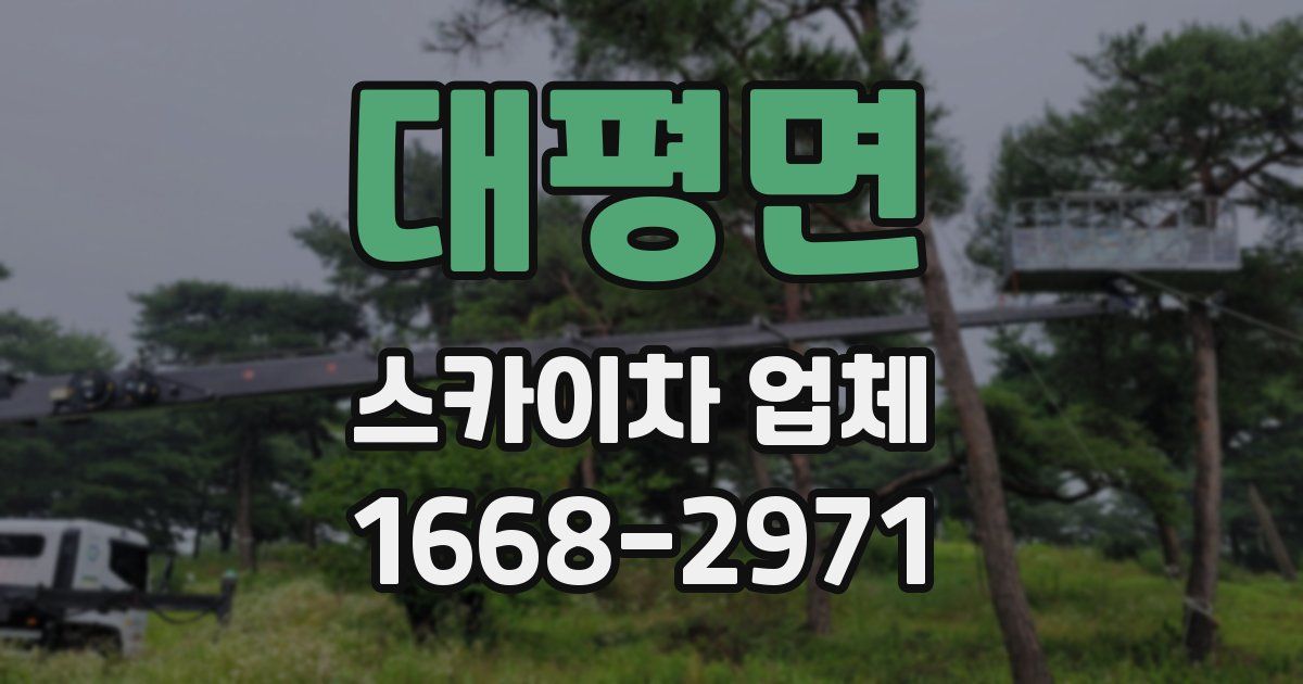 대평면 스카이차 업체