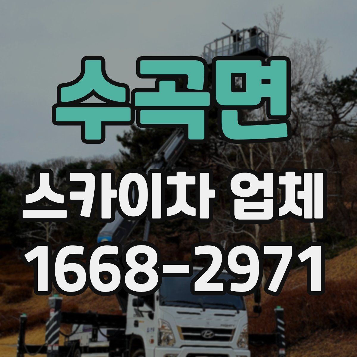 수곡면 스카이차 업체 선택에 도움이 되는 비교 기준