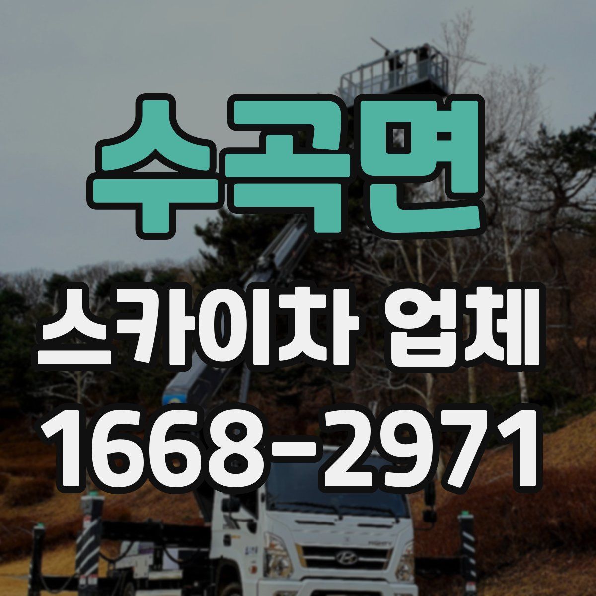 수곡면 스카이차 업체