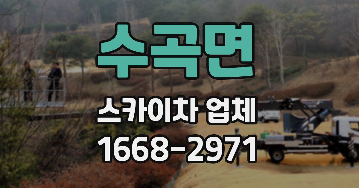 수곡면 스카이차 업체